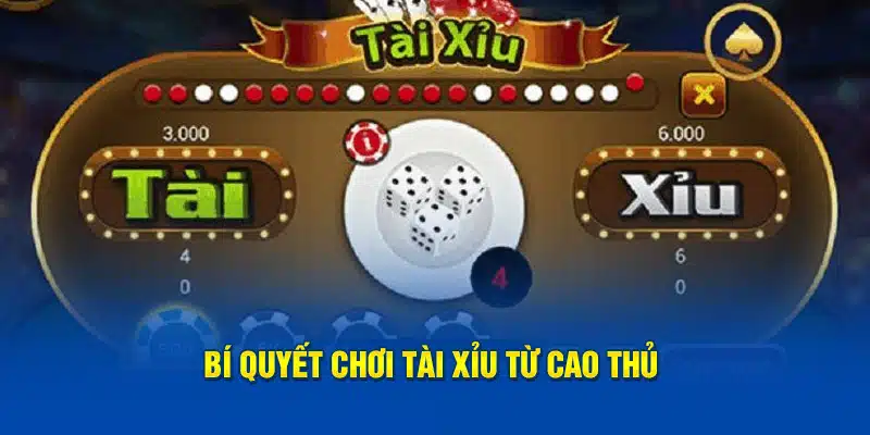 Bí quyết chơi tài xỉu từ cao thủ