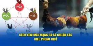 Màu mạng đá gà