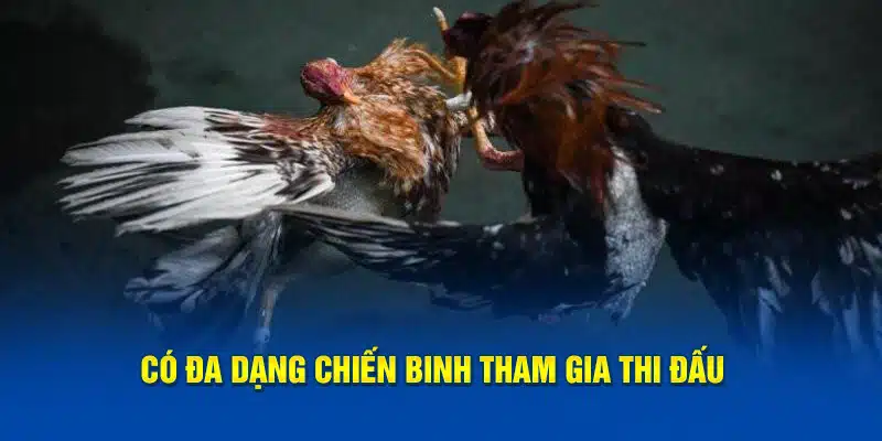 Có đa dạng chiến binh tham gia thi đấu