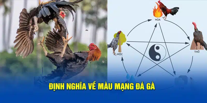 Định nghĩa về màu mạng đá gà 