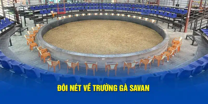 Đôi nét về trường gà Savan