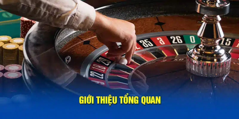 Giới thiệu tổng quan