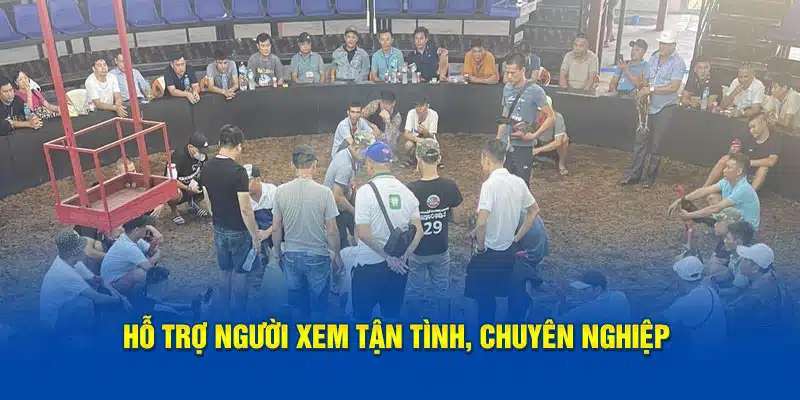 Hỗ trợ người xem tận tâm, chuyên nghiệp 