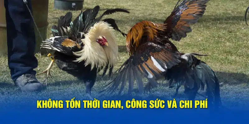 Không tốn thời gian, công sức và chi phí