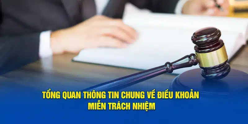 Tổng quan thông tin chung về điều khoản miễn trách nhiệm