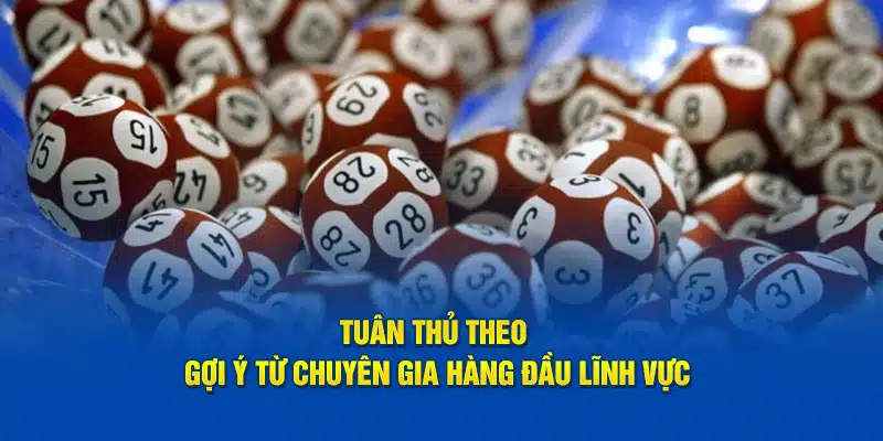 Tuân thủ theo gợi ý từ chuyên gia hàng đầu lĩnh vực